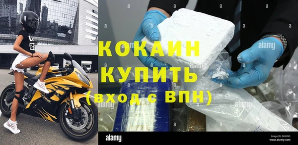 хмурый Алексин