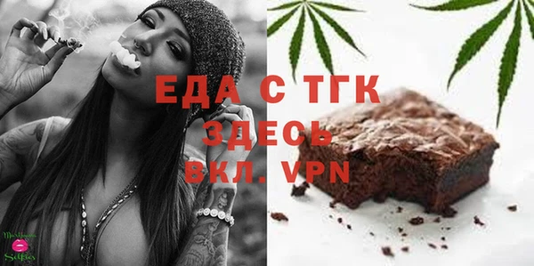 хмурый Алексин