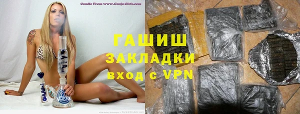 хмурый Алексин