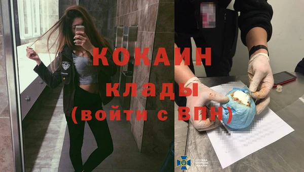 хмурый Алексин