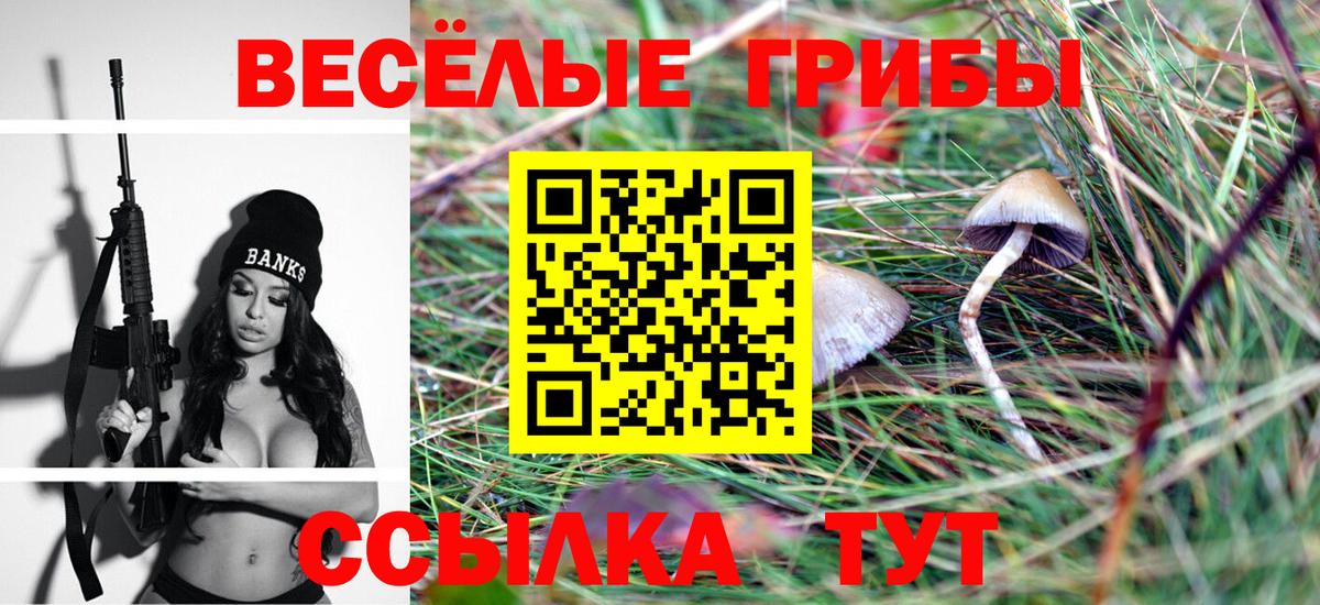 наркошоп  Вход с VPN  Чайковский  Псилоцибиновые грибы Psilocybine cubensis  Псилоцибиновые грибы MAGIC MUSHROOMS 